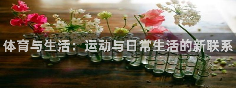 nba直播说球帝：体育与生活：运动与日常生活的新联系