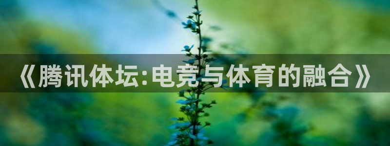 说球帝直播在线观看：《腾讯体坛:电竞与体育的融合》
