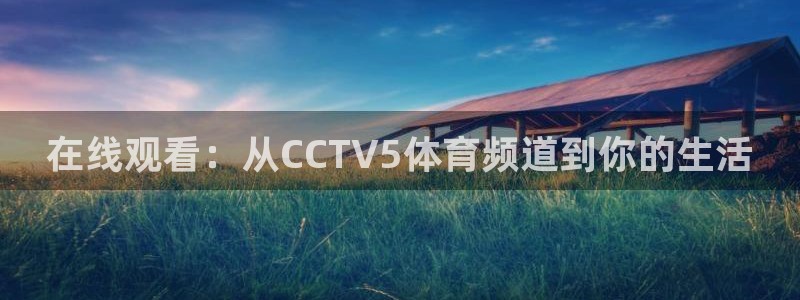 说球帝看球直播：在线观看：从CCTV5体育频道到你的生活