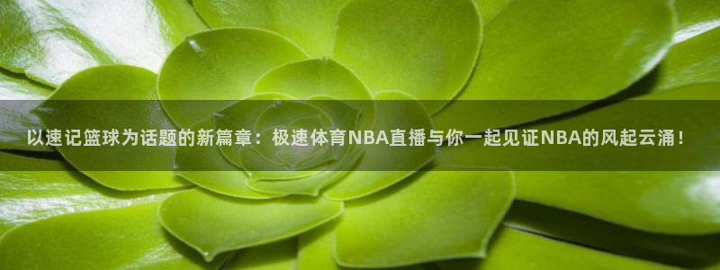 说球帝直播在线观看：以速记篮球为话题的新篇章：极速体育NBA直播与你一起见证NBA的风起云涌！