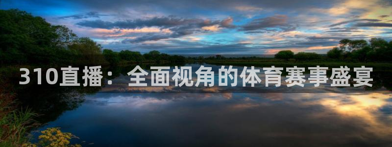 说球帝在线观看nba免费直播：310直播：全面视角的体育赛事盛宴