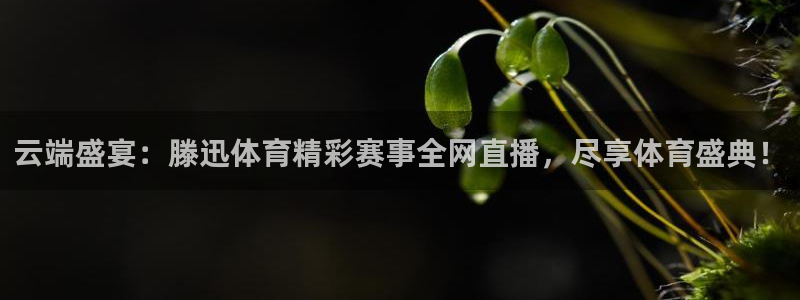 nba在线直播说球帝：云端盛宴：滕迅体育精彩赛事全网直播，尽享体育盛典！