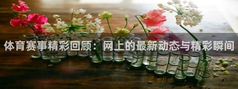 nba在线直播观看直播说球帝：体育赛事精彩回顾：网上的最新动态与精彩瞬间