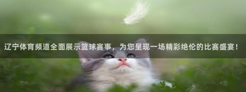 说球帝直播nba：辽宁体育频道全面展示篮球赛事，为您呈现一场精彩绝伦的比赛盛宴！