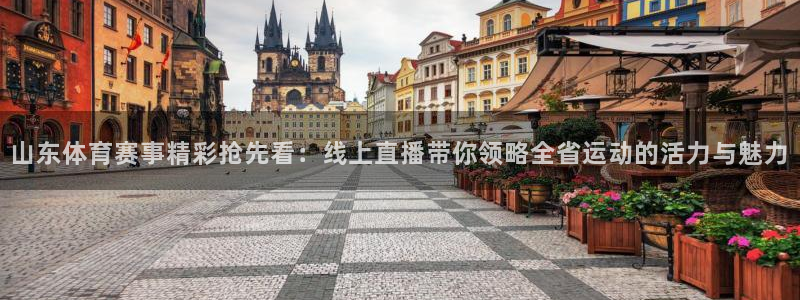 说球帝nba在线直播：山东体育赛事精彩抢先看：线上直播带你领略全省运动的活力与魅力