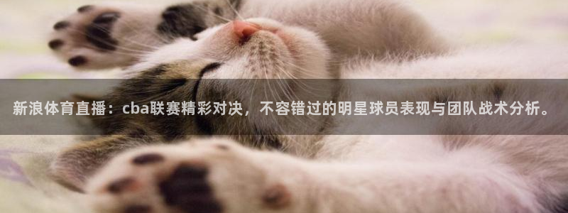 说球帝网页直播：新浪体育直播：cba联赛精彩对决，不容错过的明星球员表现与团队战术分析。
