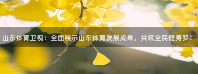 说球帝免费直播：山东体育卫视：全面展示山东体育发展成果，共筑全民健身梦！