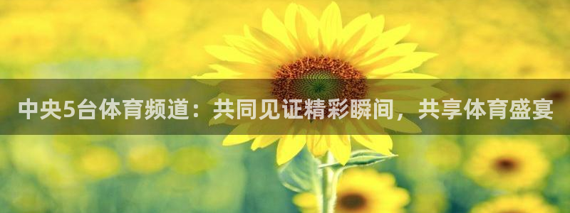 nba赛事直播说球帝：中央5台体育频道：共同见证精彩瞬间，共享体育盛宴